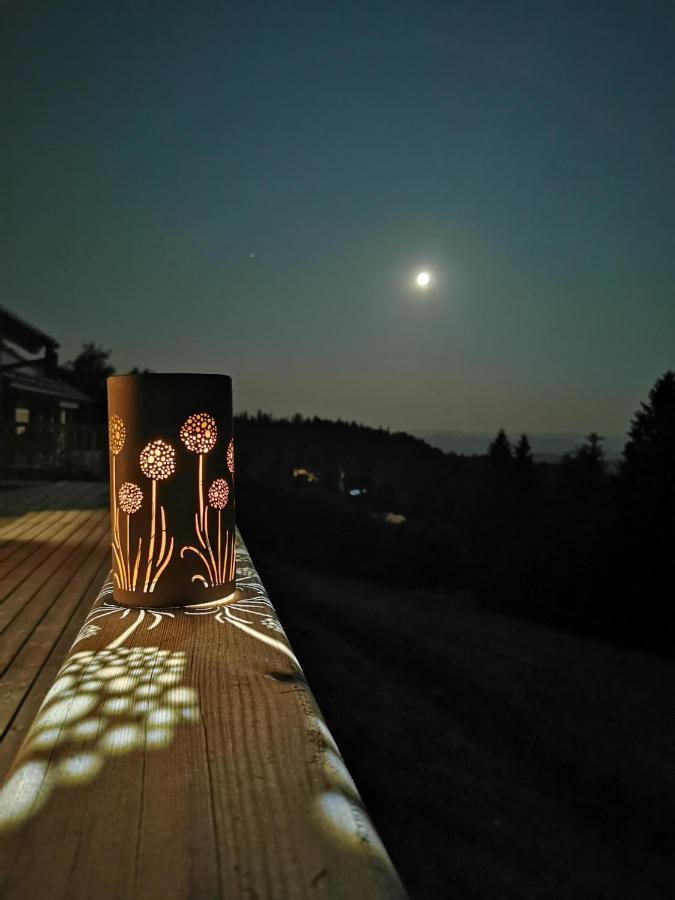 Das Koralpenchalet...Sonne, Wald, Natur! Trahutten Εξωτερικό φωτογραφία