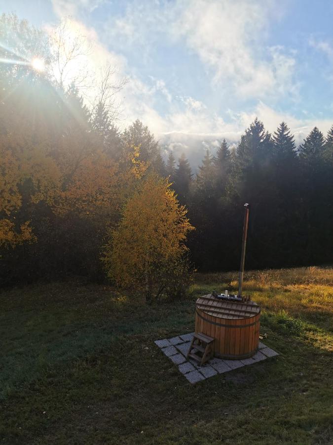 Das Koralpenchalet...Sonne, Wald, Natur! Trahutten Εξωτερικό φωτογραφία