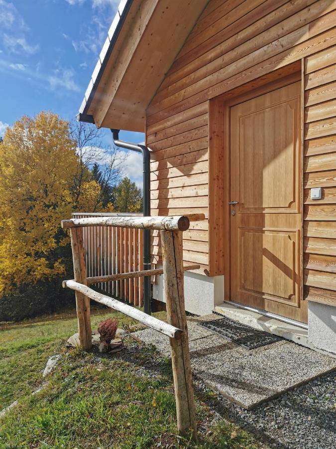 Das Koralpenchalet...Sonne, Wald, Natur! Trahutten Εξωτερικό φωτογραφία
